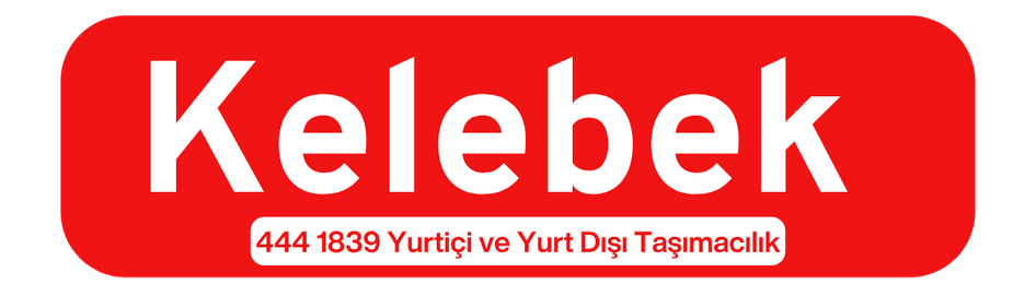 Darıca Evden Eve Nakliyat Logo